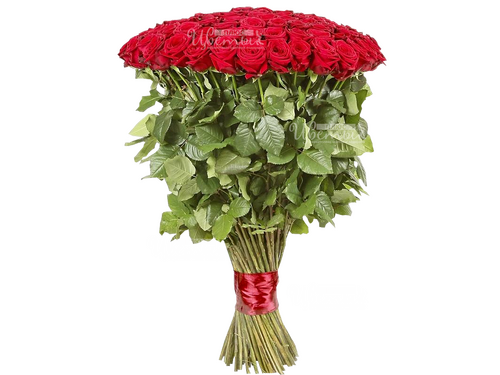 Розы красные 120 см.
